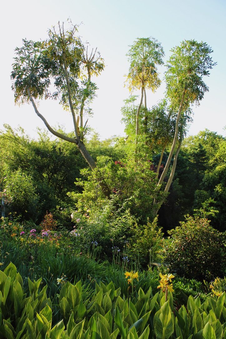 Lush summer gardens in bloom at the estate